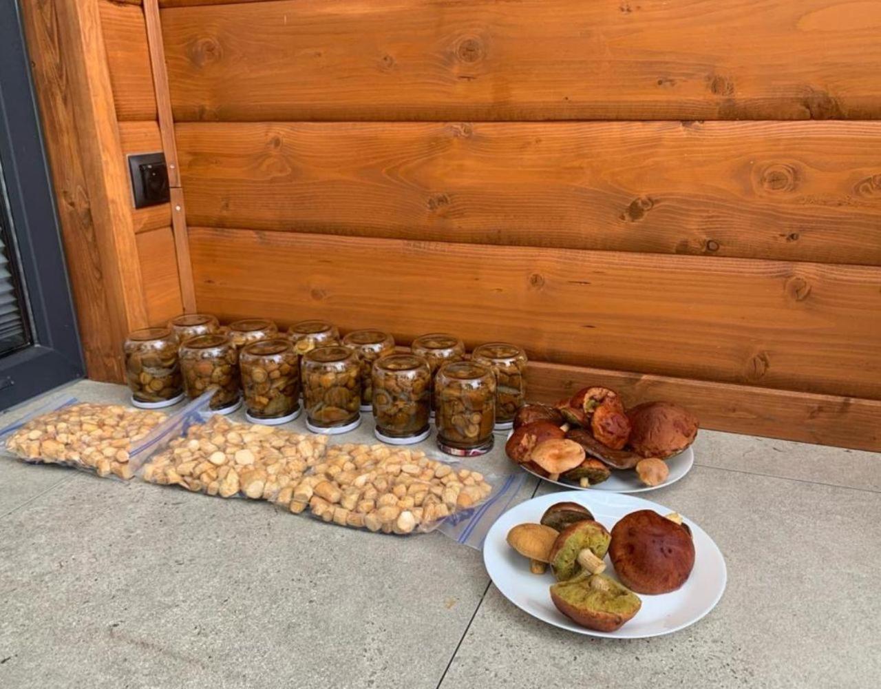 Holiday home Cisza Village / Blisko Natury