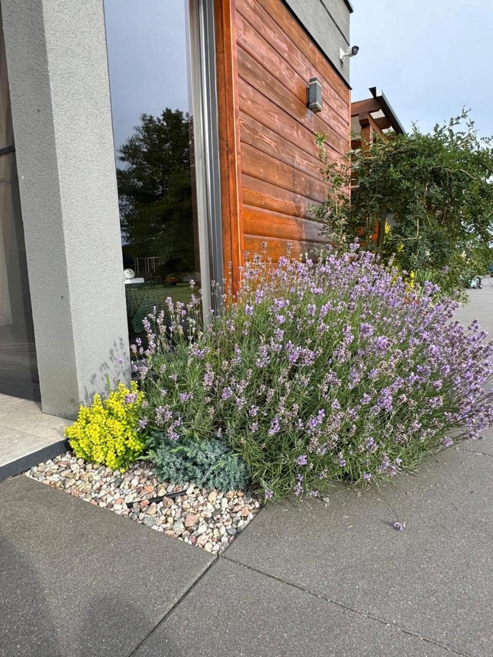 Cisza Village / Blisko Natury Holiday home Nowecin